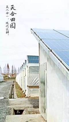 科创征文进企业第六站走进高新科技农业企业