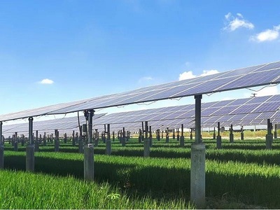 又一全球总部落地!闵行新能源产业版图再扩容