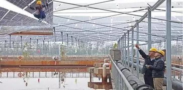 全国污水处理厂光伏电站建设迈向新高峰，预计规模超20GW